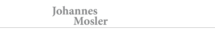 Johannes Mosler, Fensterhandwerker in der Denkmalpflege
